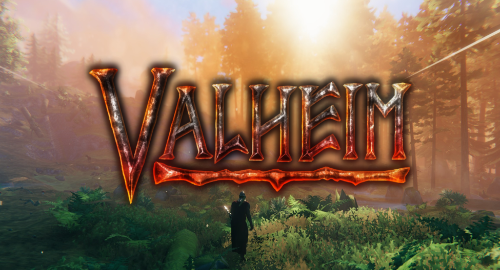 Serveur Valheim ultra performant